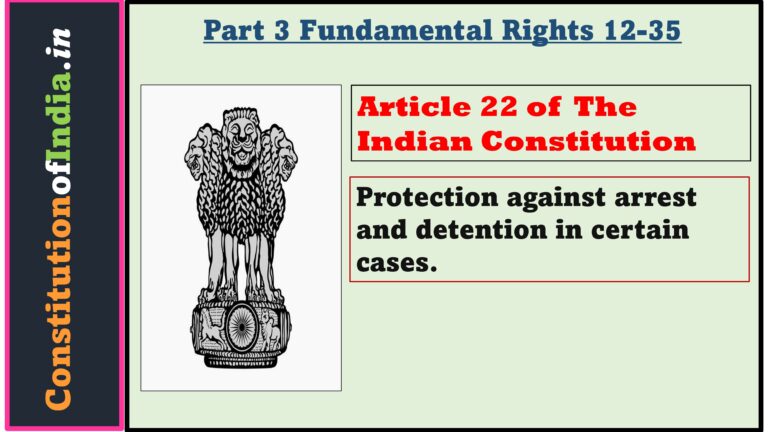 article 22 of the constitution and criminal law