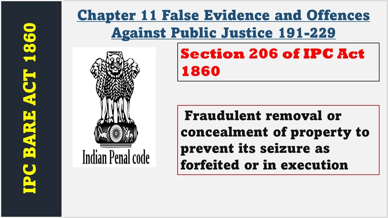 Section 206 of IPC  1860