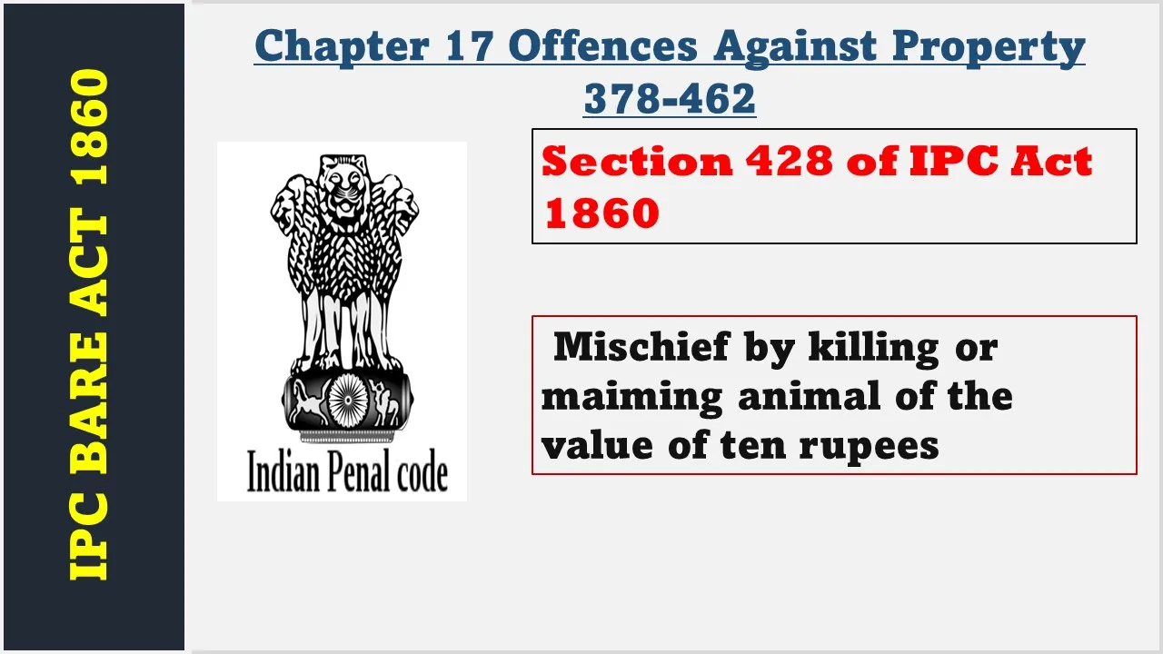 Section 428 of IPC  1860