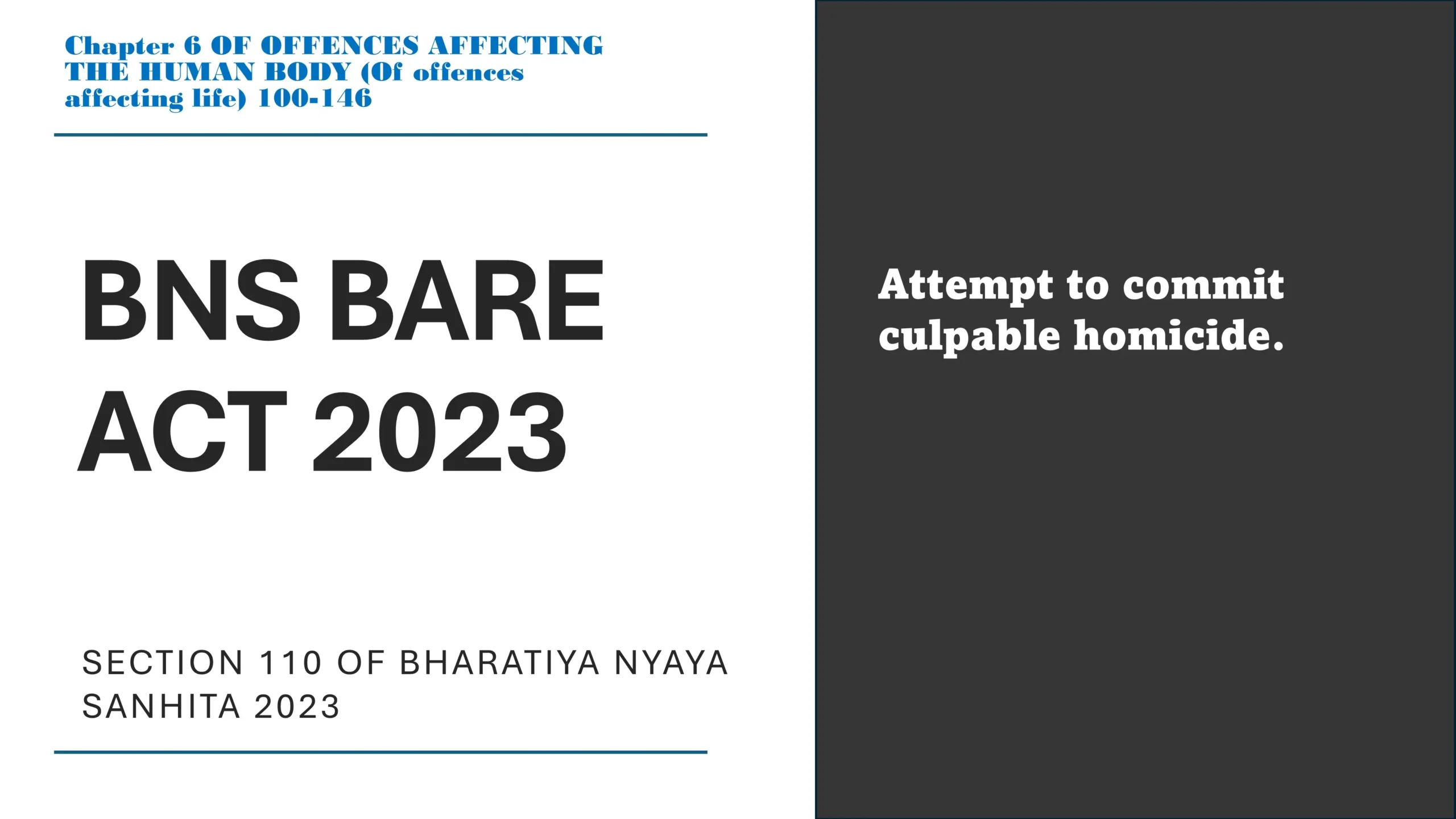 Section 110 of Bharatiya Nyaya Sanhita (BNS) 2023