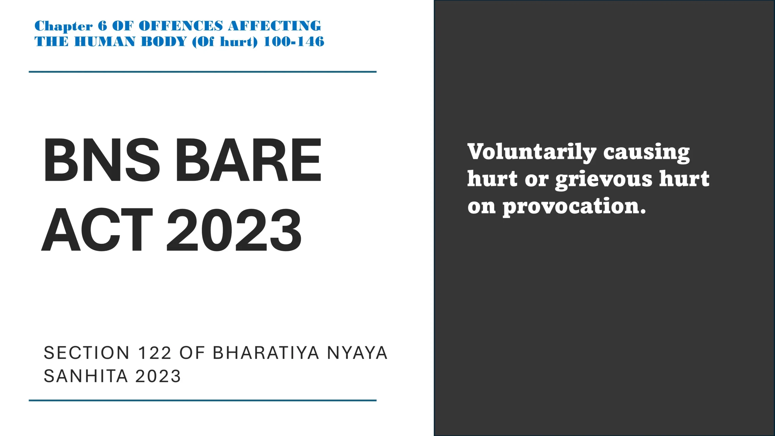 Section 122 of Bharatiya Nyaya Sanhita (BNS) 2023