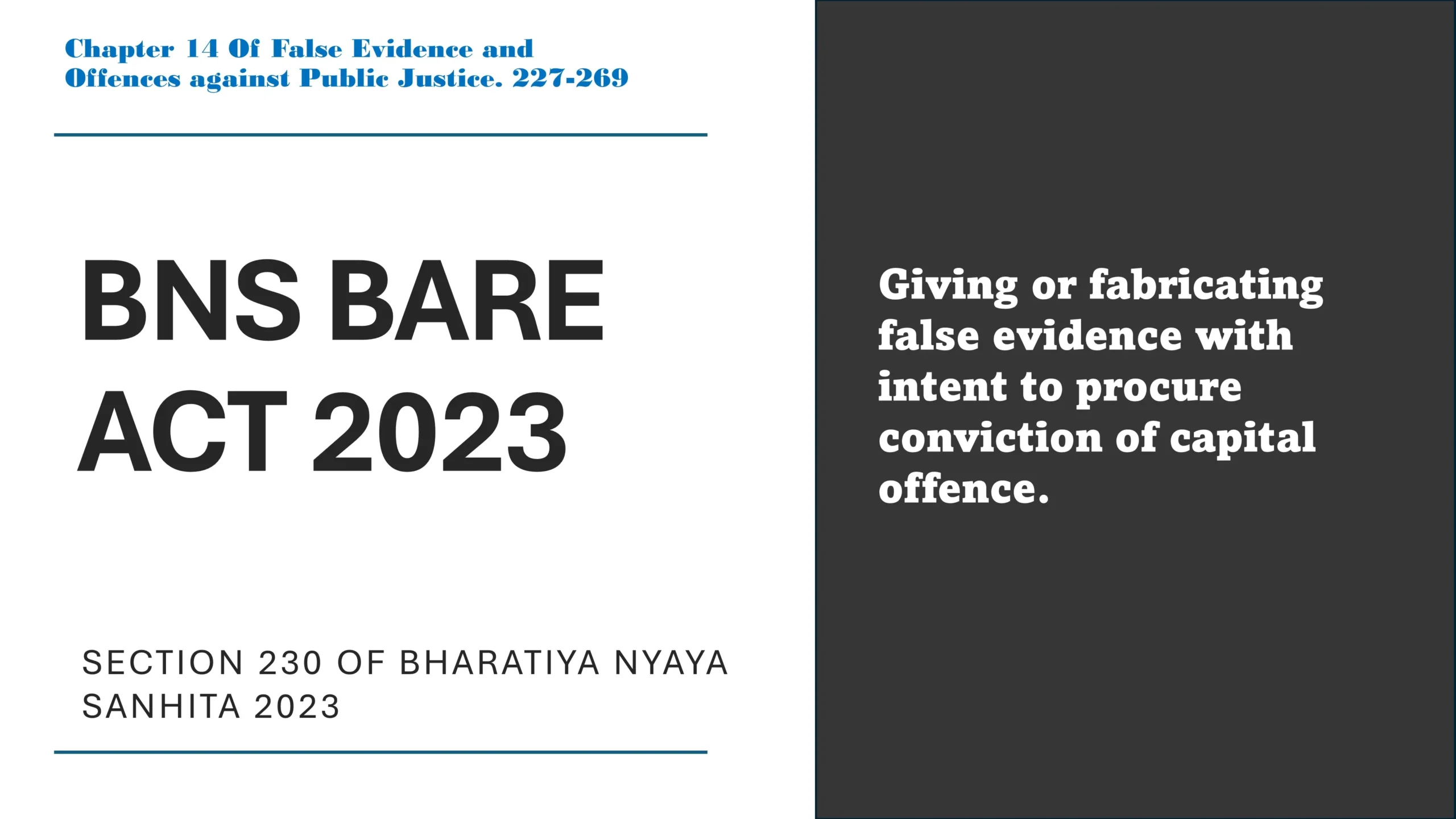 Section 230 of Bharatiya Nyaya Sanhita (BNS) 2023