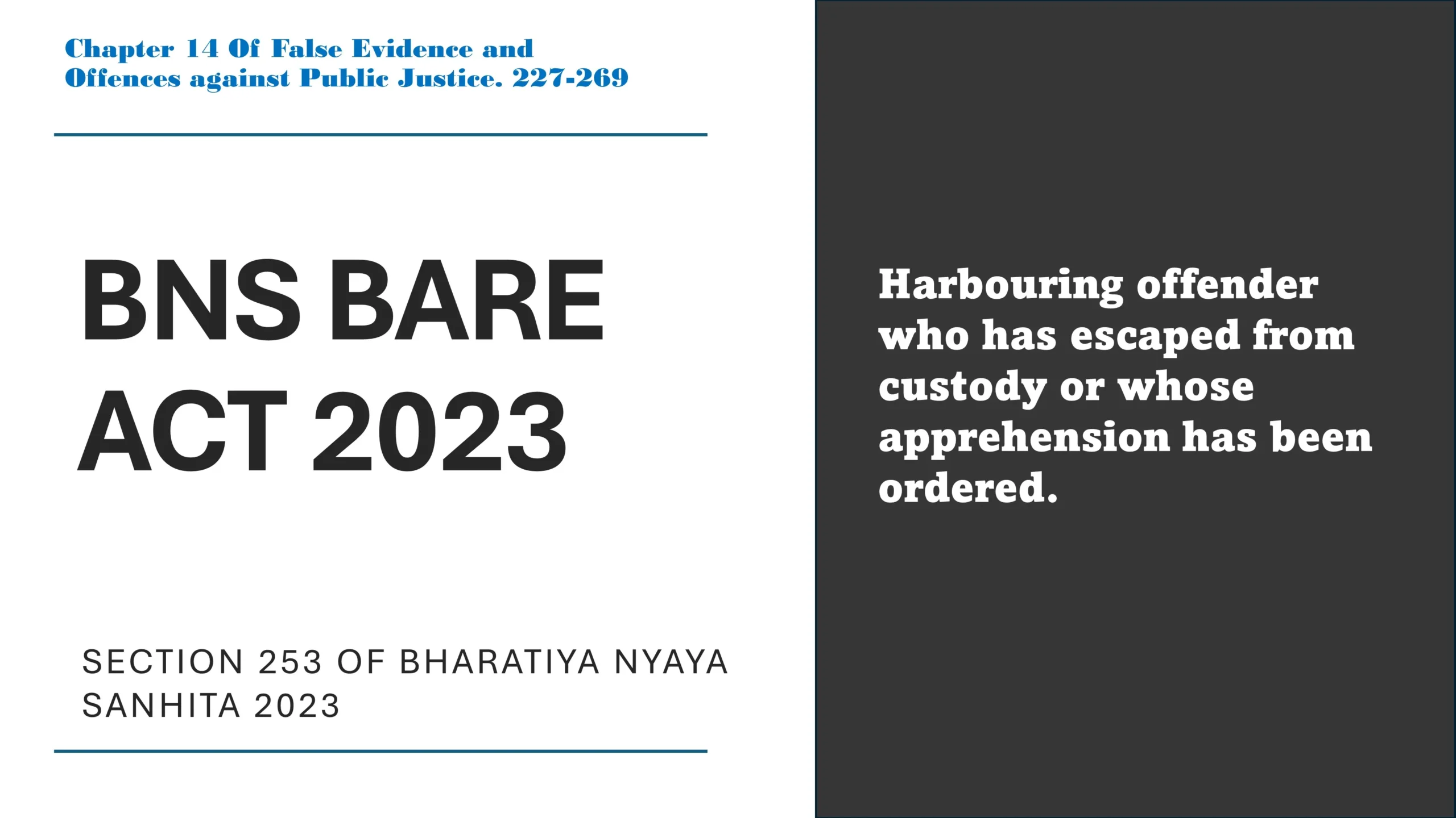 Section 253 of Bharatiya Nyaya Sanhita (BNS) 2023