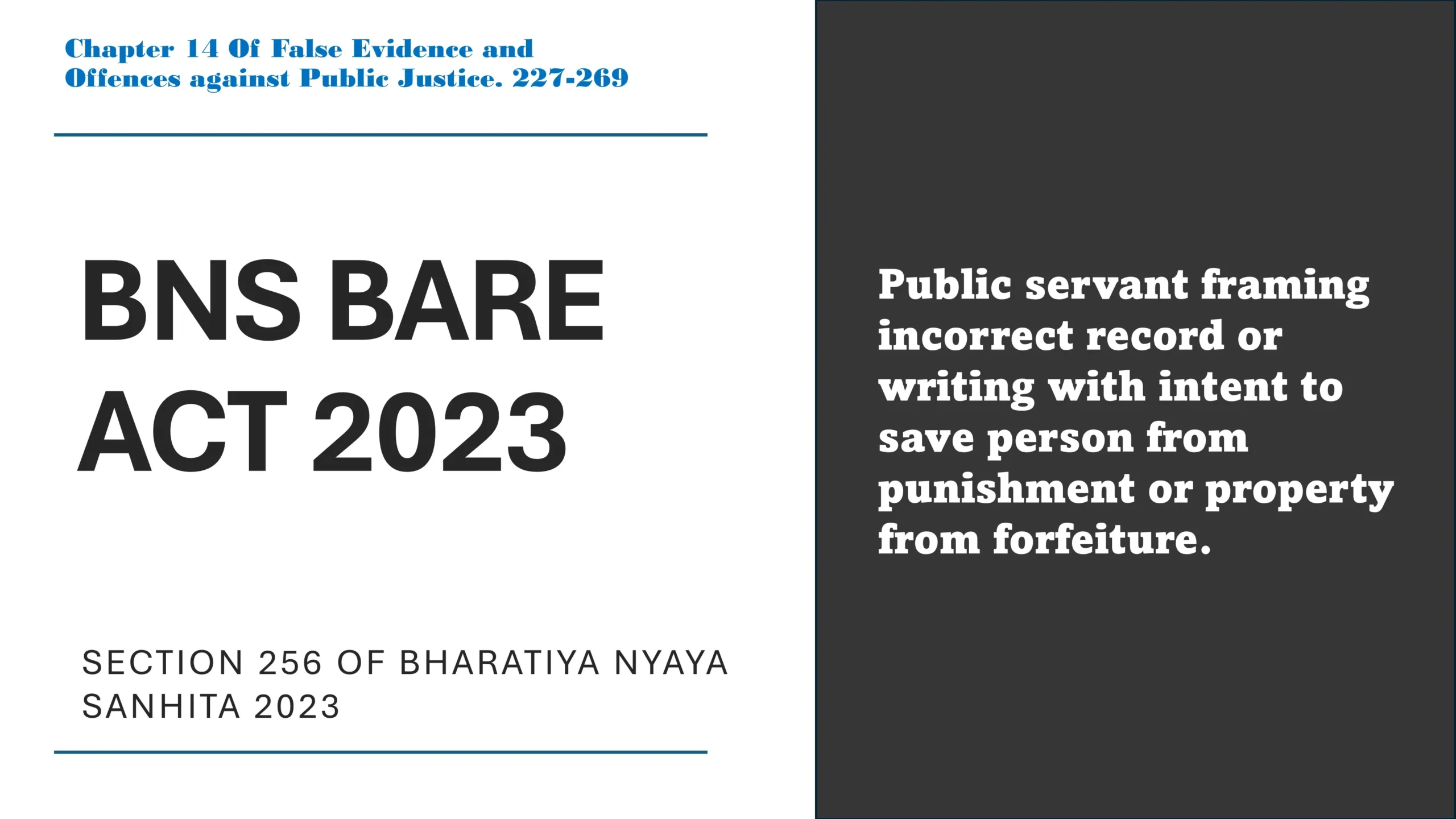 Section 256 of Bharatiya Nyaya Sanhita (BNS) 2023
