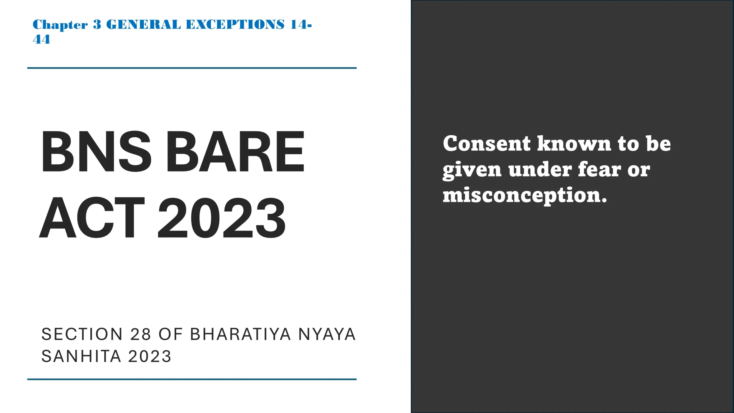 Section 28 of Bharatiya Nyaya Sanhita (BNS) 2023