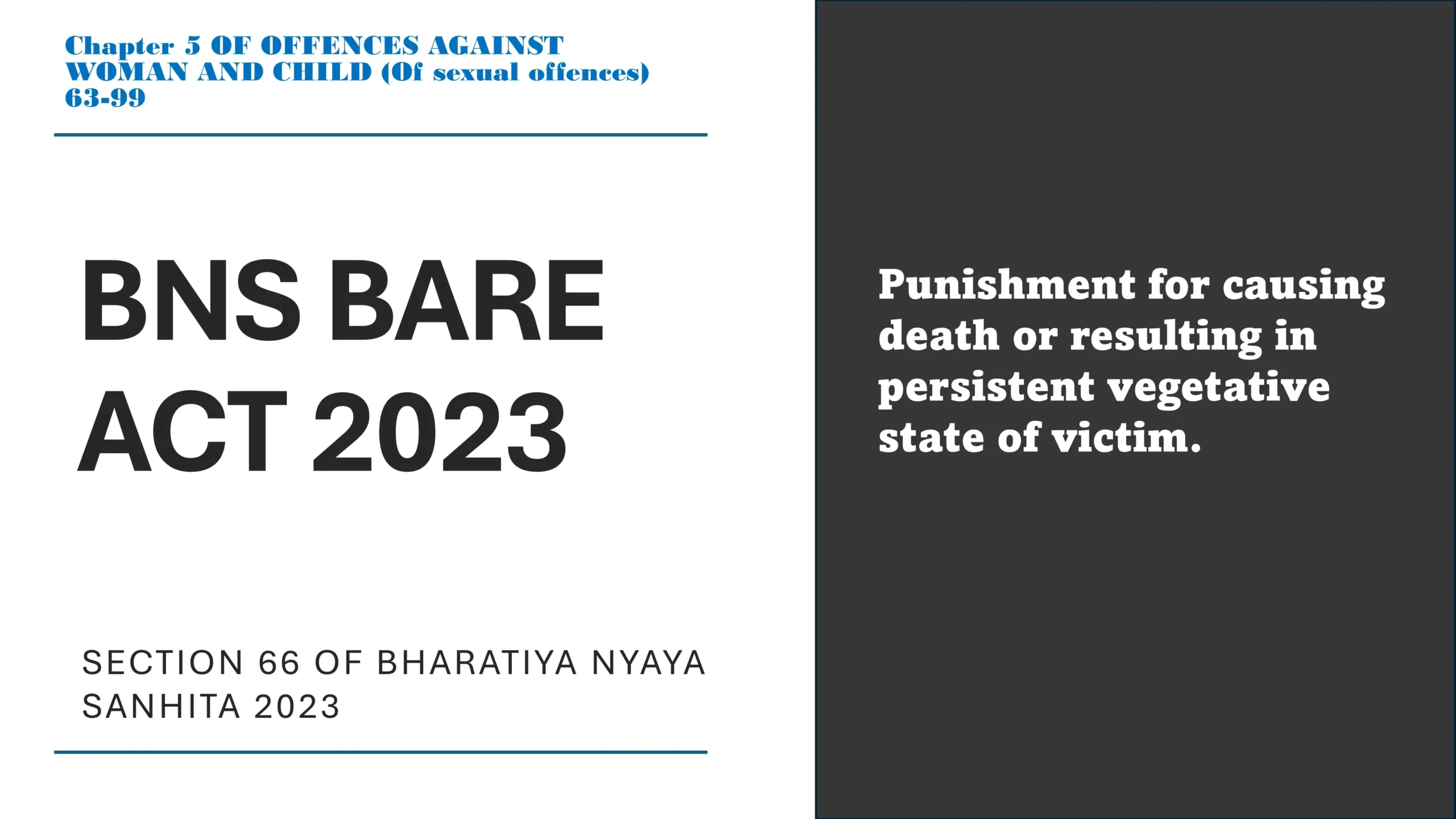 Section 66 of Bharatiya Nyaya Sanhita (BNS) 2023