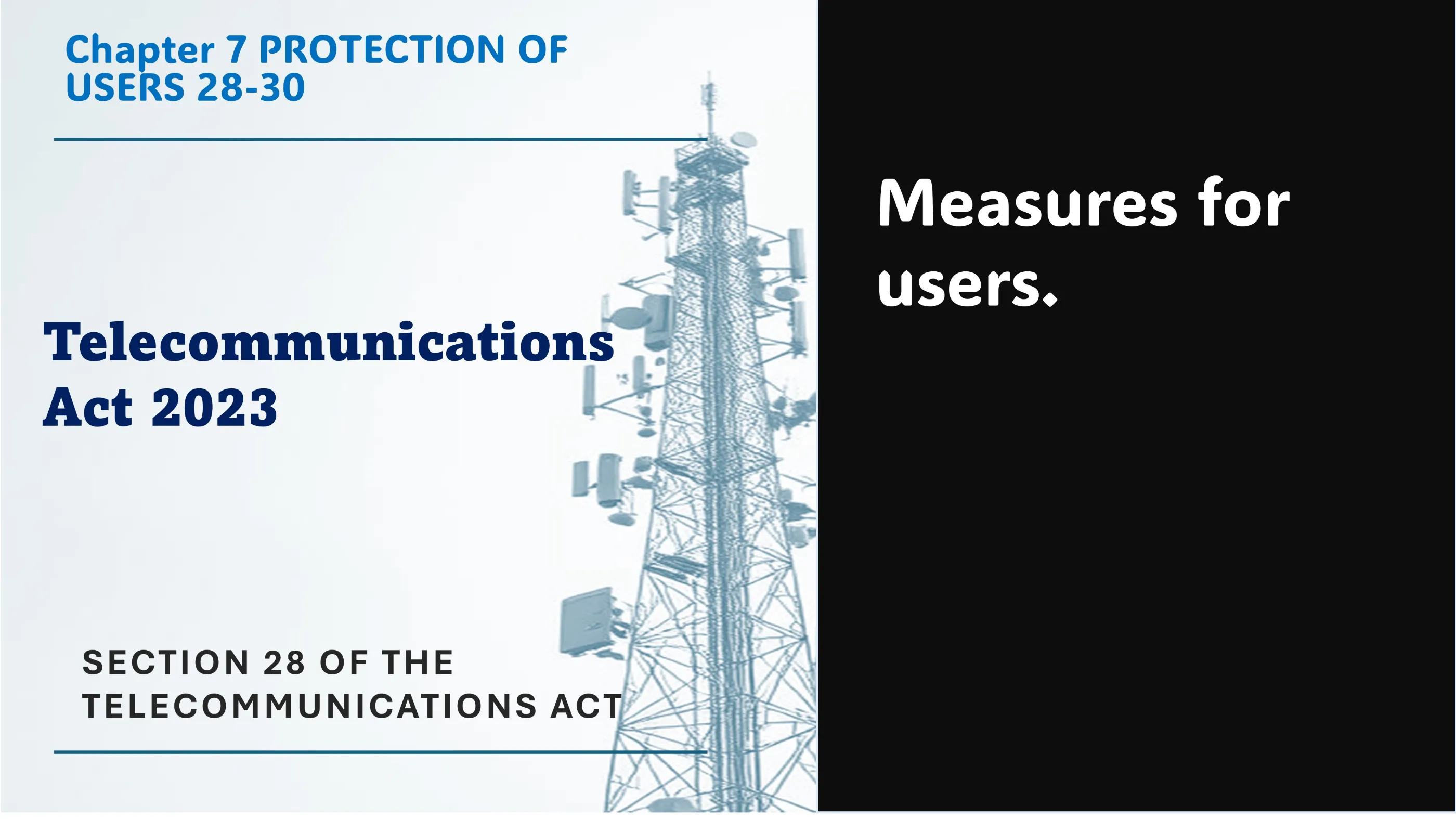 Section 28 of The Telecommunications Act