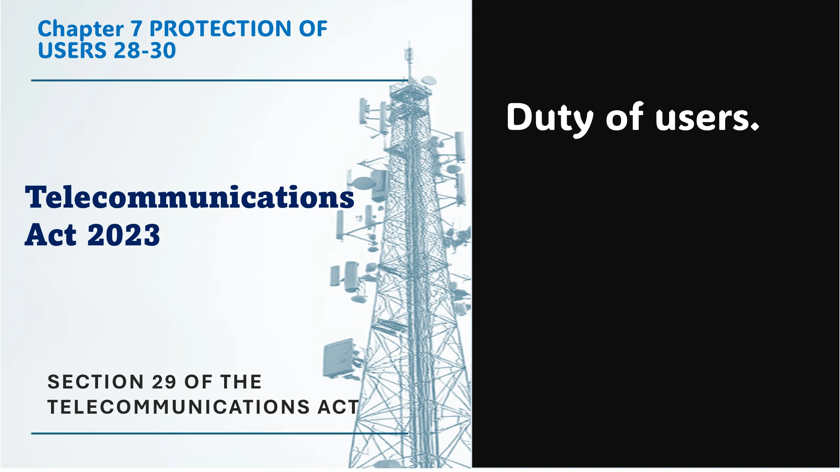 Section 29 of The Telecommunications Act