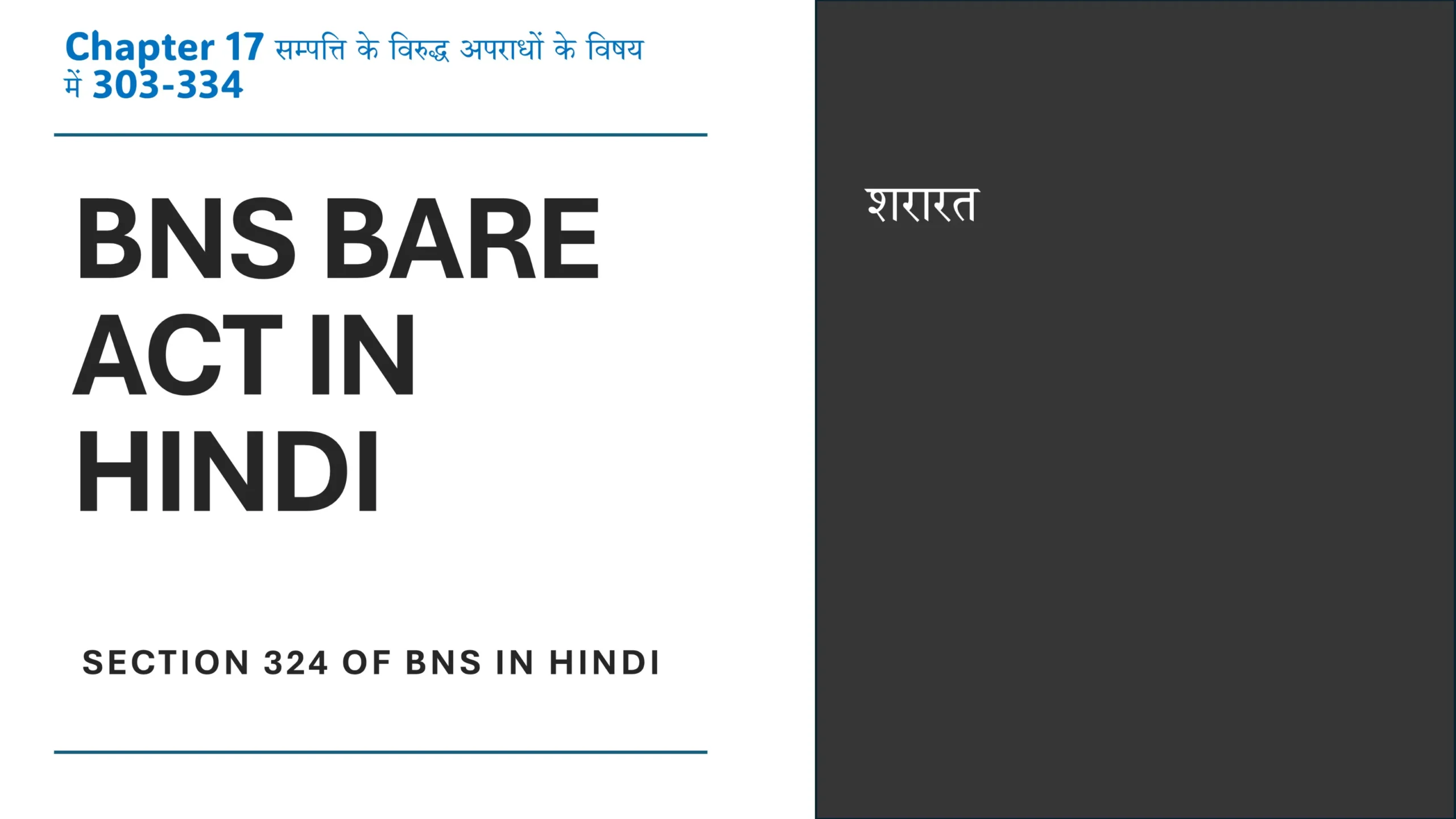 Section 324 of BNS in Hindi